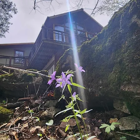 7 Min To Downtown Eureka-Nature Retreat-Fire Pit Eureka Springs Exterior photo