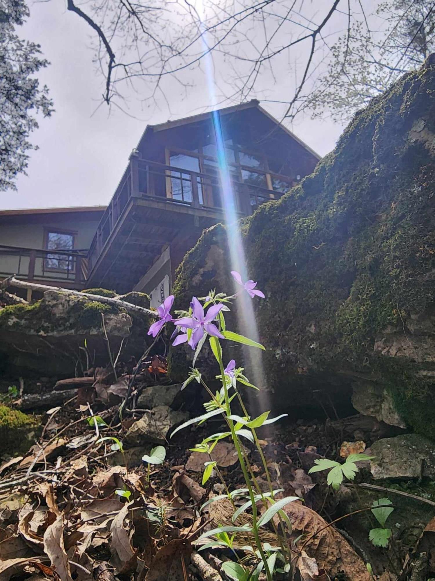 7 Min To Downtown Eureka-nature Retreat-fire Pit Eureka Springs