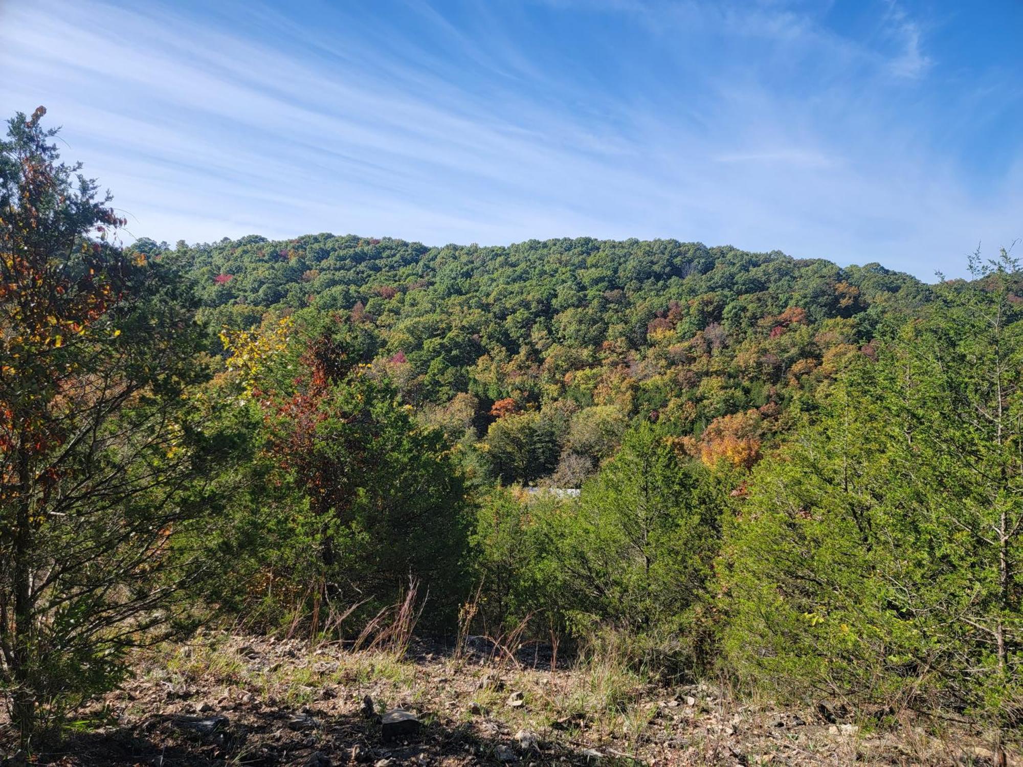 7 Min To Downtown Eureka-nature Retreat-fire Pit Holiday home *